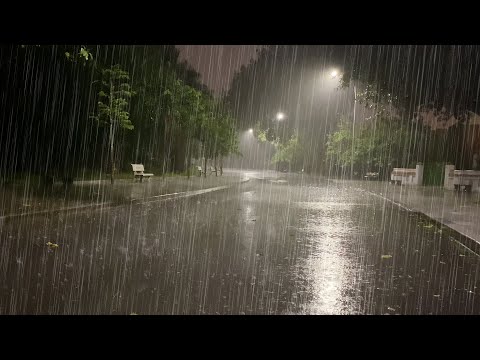 Schlafen Sie sofort mit starkem Regen und Donnergeräuschen, die den Regen im Park bei Nacht bedecken