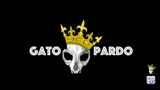YER - GATO PARDO (Video Oficial)