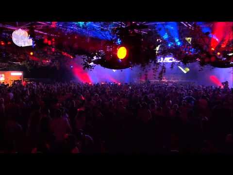 Tomorrowland 2013 - Quintino (2) - UCsN8M73DMWa8SPp5o_0IAQQ