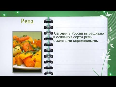 Кулинарная энциклопедия - Репа - UC7XBjhXnmmXFsxmnys9PmDQ