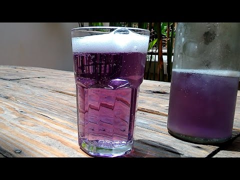 Purple ginger beer - UCntxIE8FKow3FbWG-BCApeQ