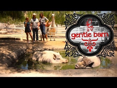 A Trip to The Gentle Barn with Disney Star Sierra McCormick! - UC93DEJOBeet3XXZlJy2uJuA