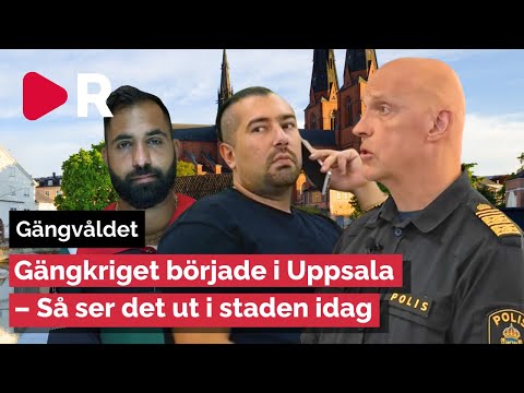 Polisen Jale Poljarevius är optimistisk: Nya lagarna hjälper mot gängen