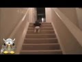 Comment descendre escalier