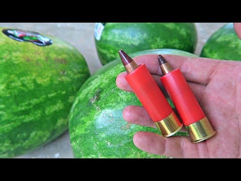 Watermelon Vs 12 Gauge 50 BMG - Exitic Ammo - UCe_vXdMrHHseZ_esYUskSBw