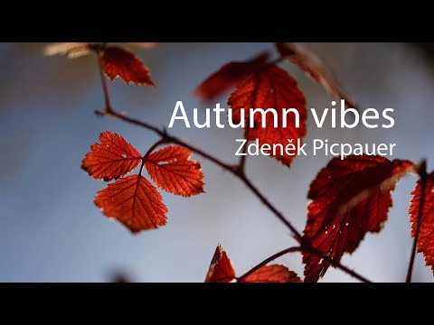 Autumn vibes