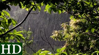Regen - HD - Regengeräusche und Naturgeräusche