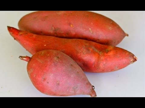 Sweet Potato 101 - UCj0V0aG4LcdHmdPJ7aTtSCQ