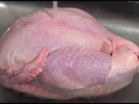 How to Thaw a Turkey - UC4tAgeVdaNB5vD_mBoxg50w