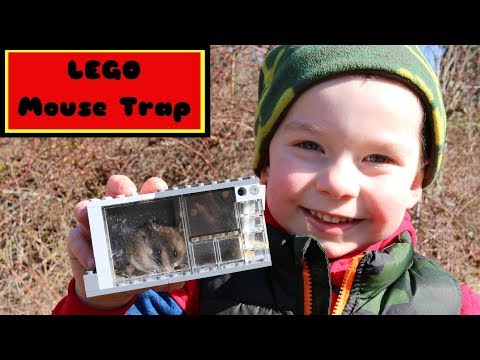 LEGO Live Catch Mouse Trap In Action. - UCYbru-MPO1xjes4FVn61JUQ