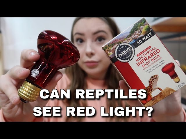 Can Frogs See Red Light?