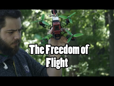 The Freedom of Flight - UCPCc4i_lIw-fW9oBXh6yTnw