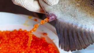 Caviar - How It's Made And Why It's So EXPENSIVE!