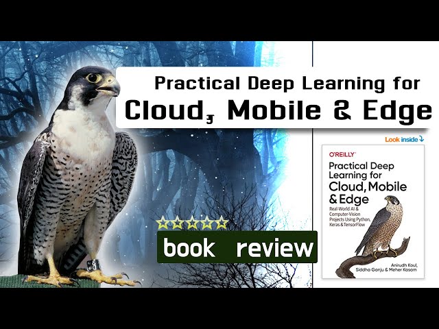 Practical Deep Learning for Cloud, Mobile, and Edge