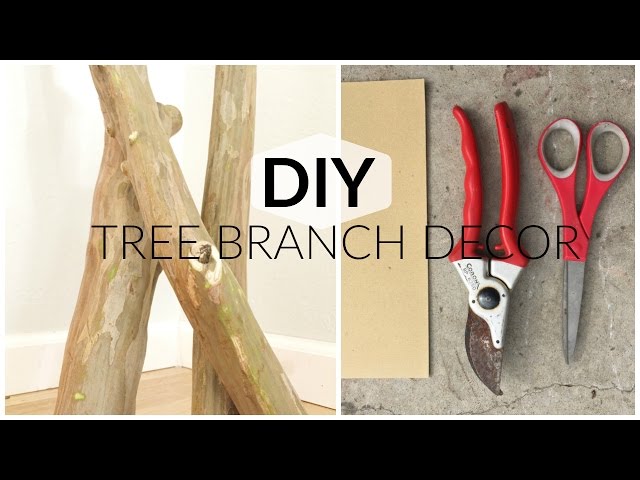 How to Preserve Tree Branches with Bark for Decoration