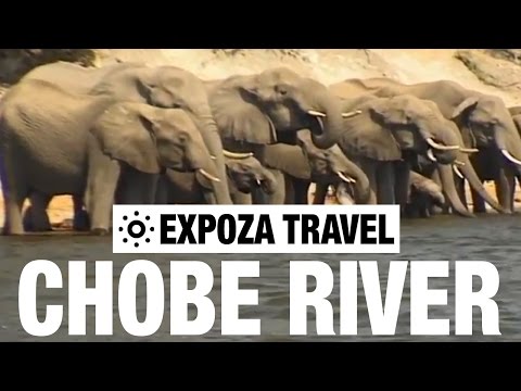 Chobe River (Zambia) Vacation Travel Video Guide - UC3o_gaqvLoPSRVMc2GmkDrg