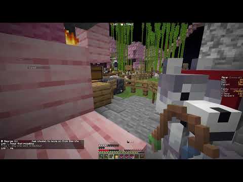1h1l smp