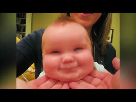 Top Cutest Chubby Baby Chubby Baby Video
