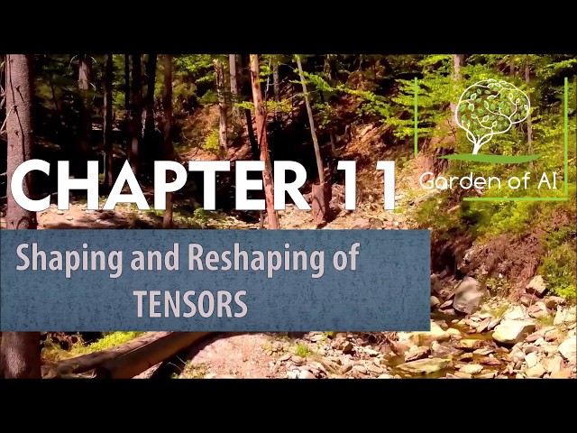 Reshaping Tensors in TensorFlow