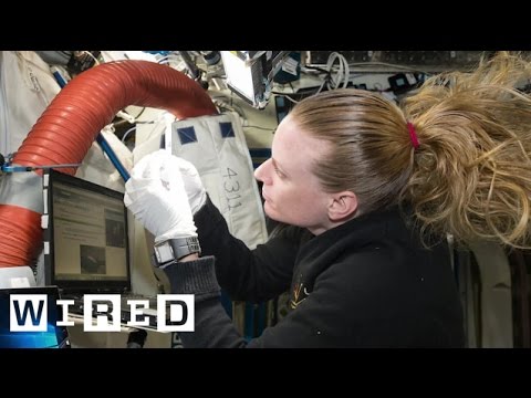 Nothing Is as Cool as Sequencing DNA in Space. Just Ask Kate Rubins | WIRED - UCftwRNsjfRo08xYE31tkiyw