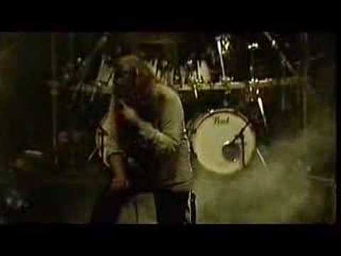 Arcturus - Shipwrecked Frontier Pioneer