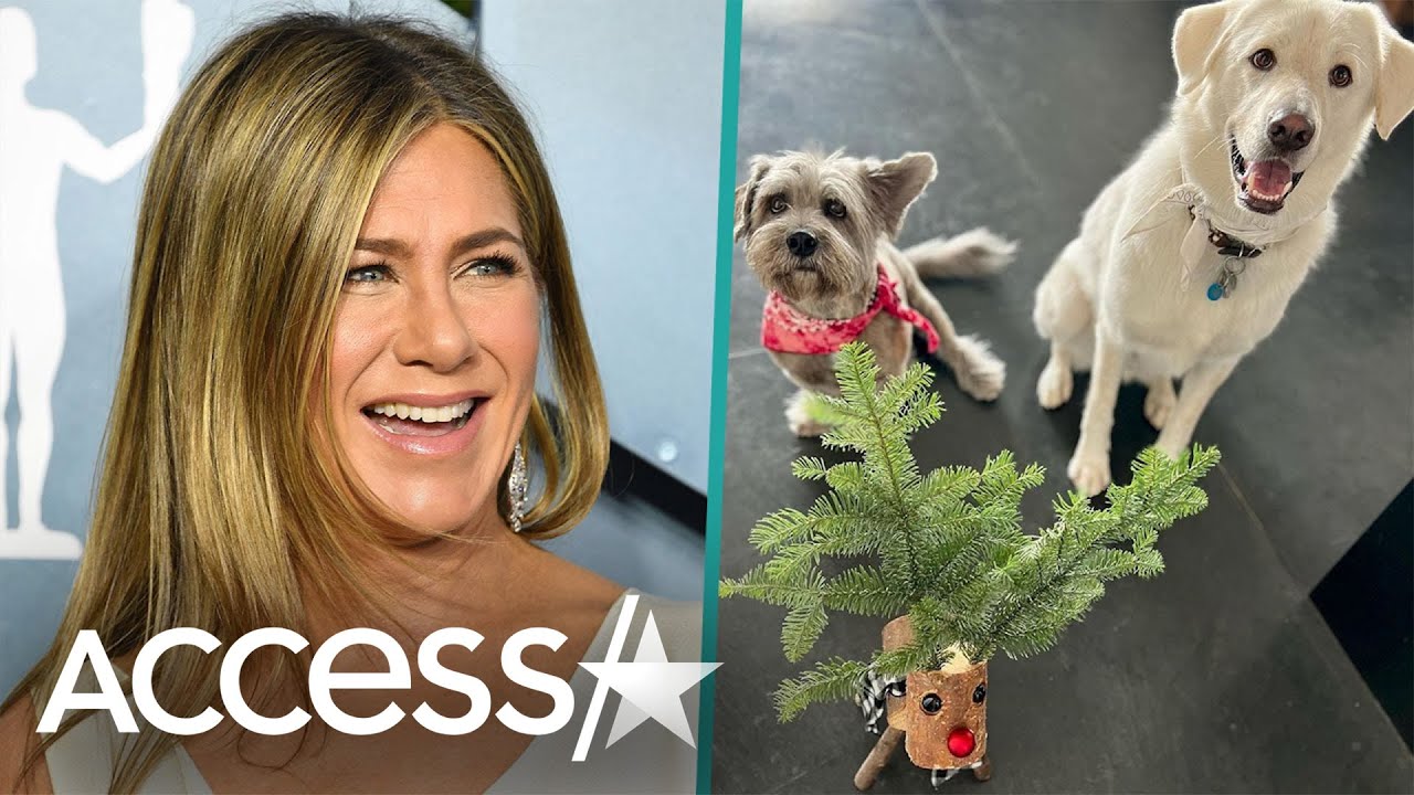 Jennifer Aniston Protects Wooden Reindeer From Her Overeager Dogs In Hilarious Holiday Video
