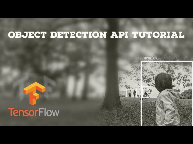 TensorFlow 2.0 Object Detection API Tutorial