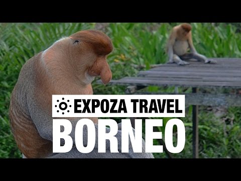 Borneo Vacation Travel Video Guide - UC3o_gaqvLoPSRVMc2GmkDrg