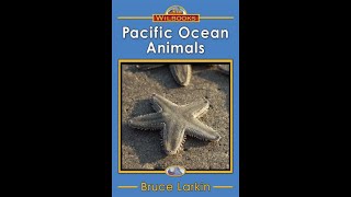 Pacific Ocean Animals 