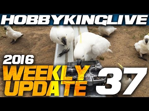 Weekly Update Ep. 37 - HobbyKing Live 2016 - UCkNMDHVq-_6aJEh2uRBbRmw