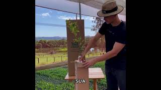 Vídeo Como é Enviado Correto