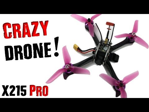 READY TO FLY! First Look FuriBee X-215 Pro - UCTo55-kBvyy5Y1X_DTgrTOQ
