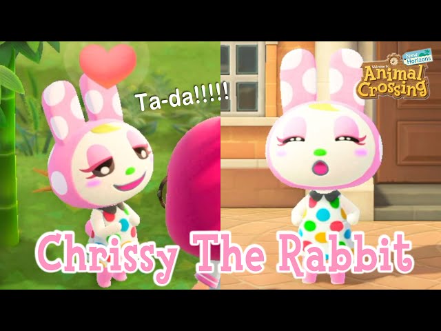 Animal Crossing: New Horizons Chrissy Villager Guide