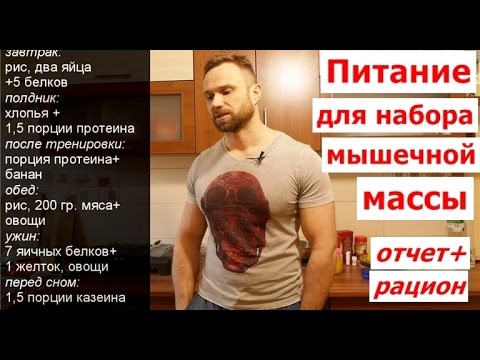 Мое Питание На Набор Мышц. Отчет+Рацион. Сезон 2016 - UCW_I5a7gOr62gDLapMCAbpw