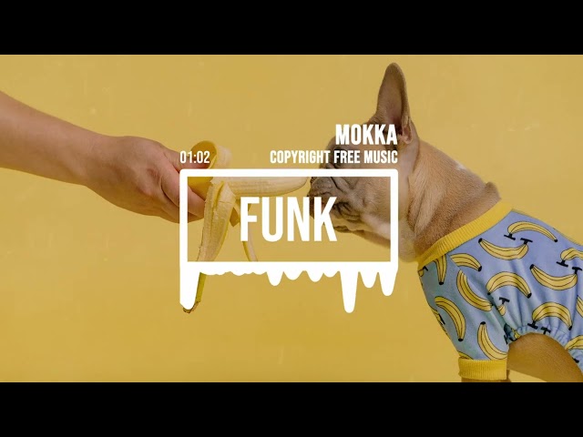 Electric Funk Music to Get You Moving