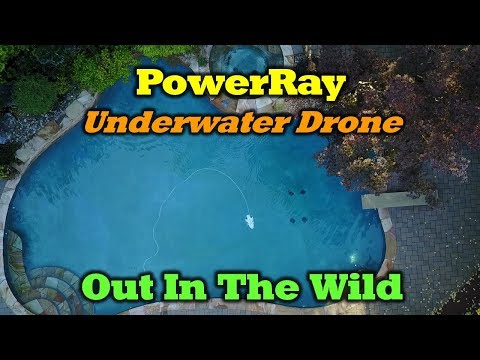 Powervision PowerRay - Out In The Wild - Review and Underwater Footage - UCW9JACosTnXzREUzH34Z98A