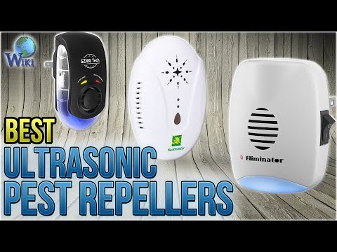 10 Best Ultrasonic Pest Repellers 2018 - UCXAHpX2xDhmjqtA-ANgsGmw