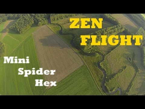 Mini Spider Hex - Zen flight - UCZnl1xWumH3q8iRnzAV_Ldw