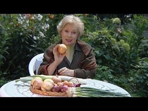 Просто Вкусно - Суфле Из Зеленого Лука - Рецепт / Закуски - UC7XBjhXnmmXFsxmnys9PmDQ