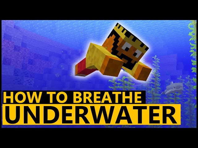 4 Ways to Underwater Breathe in Minecraft