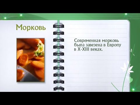 Кулинарная энциклопедия - Морковь - UC7XBjhXnmmXFsxmnys9PmDQ