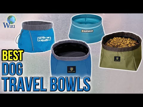 9 Best Dog Travel Bowls 2017 - UCXAHpX2xDhmjqtA-ANgsGmw