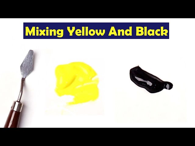 what-colors-go-with-yellow-and-black