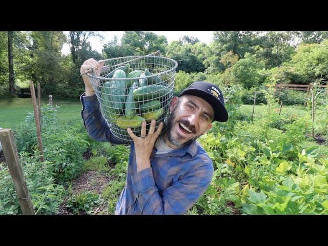 How to Preserve Cucumber Slices?