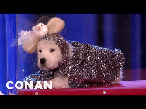 Puppy Conan Welcomes Puppy Lady Gaga - CONAN on TBS - UCi7GJNg51C3jgmYTUwqoUXA