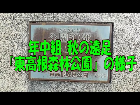年中組 秋の遠足『東高根森林公園』の様子