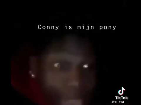 Conny is mijn pony