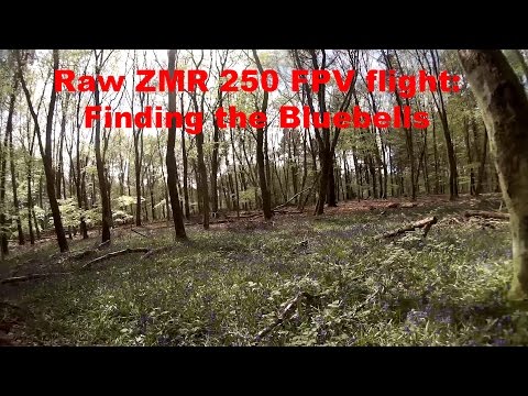 Raw ZMR 250 FPV flight: Finding the Bluebells - UCcrr5rcI6WVv7uxAkGej9_g
