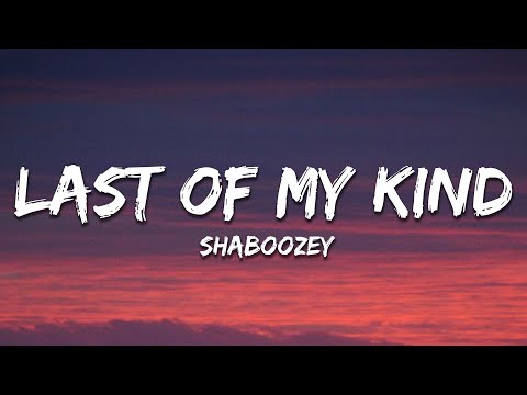 Shaboozey - Last Of My Kind (Lyrics) ft. Paul Cauthen