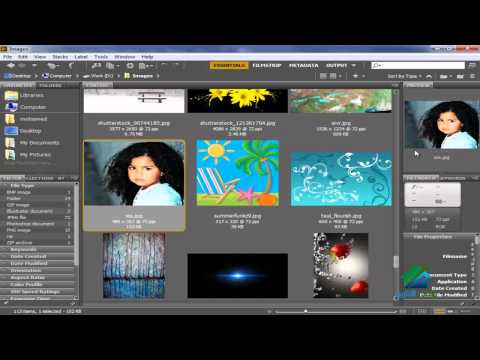 Placing Images and Alignment|أكاديمية الدارين|م. 14